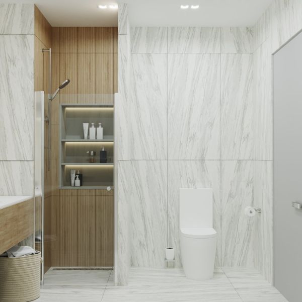 Душевая дверь Triton Уно Щ0000036858 90 см